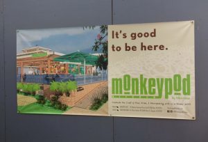 Monkey Pod coming to Whalers Village