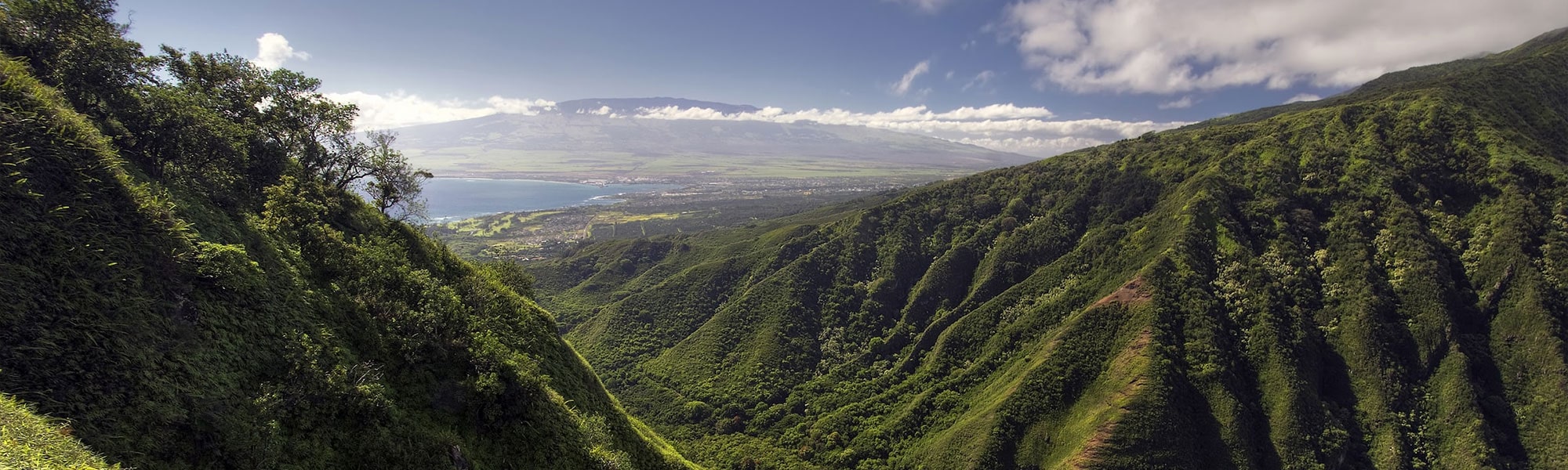 Maui Real Estate | Maui Realtor | Jesse G. Wald R(S)